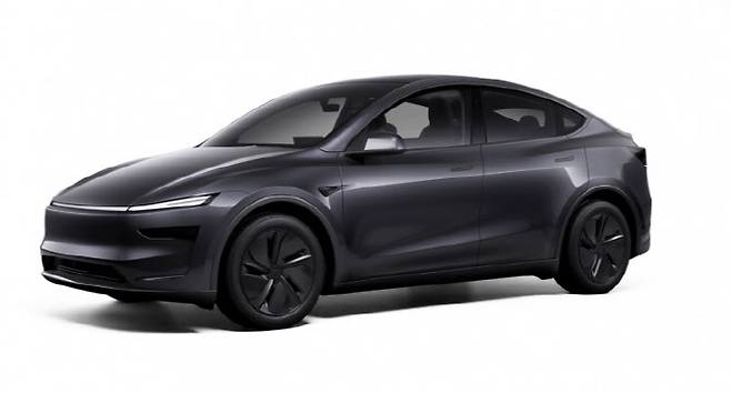 테슬라 모델 Y.