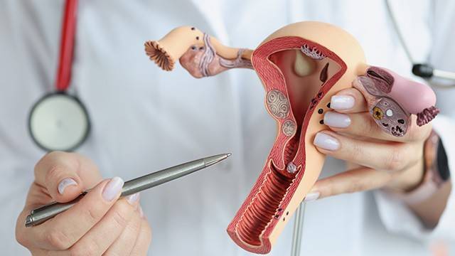 자궁내막증은 가임기 여성에게 흔히 나타나는 질환으로 월경통, 골반통, 난임 등을 유발한다|출처: 클립아트코리아