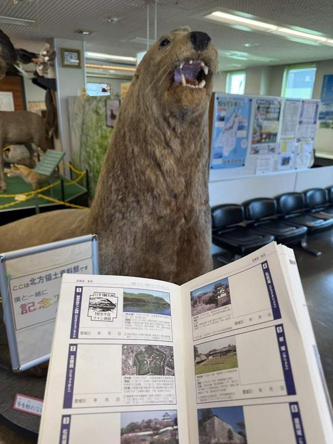 viewimage.php?id=23b2db27ebc637&no=24b0d769e1d32ca73de883fa1bd62531caf022a001a6328b8fcf4dbd347d71c79e5c7b61871f7f21be96f13a4f7f1dde51e9ef36912dfddc8710bde21a7d3158d8512b