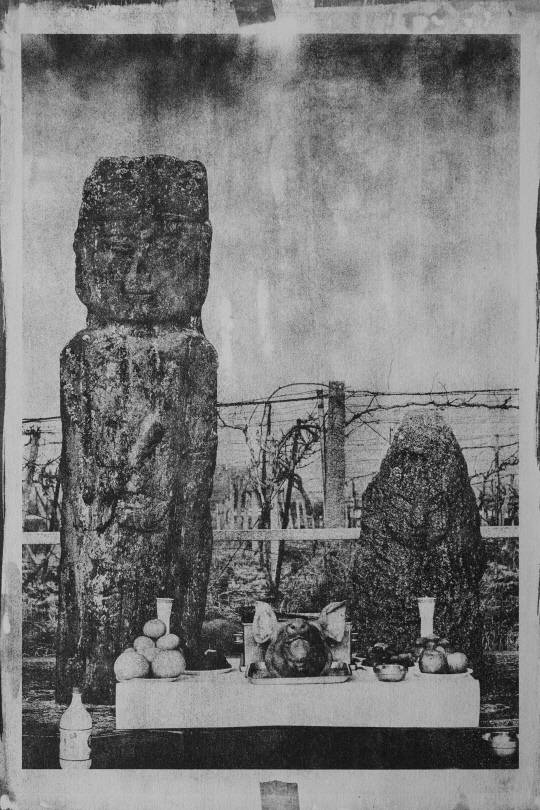 김주영 작. [대전사진페스티벌]