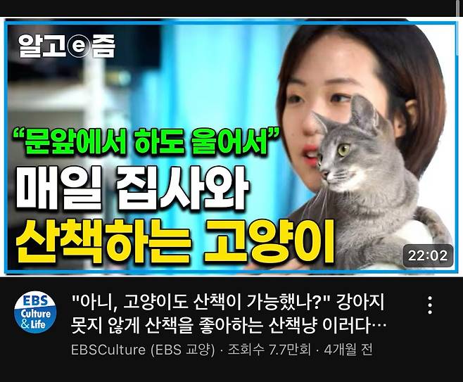 ebs 유튜브 채널에서 재탕중인 컨텐츠