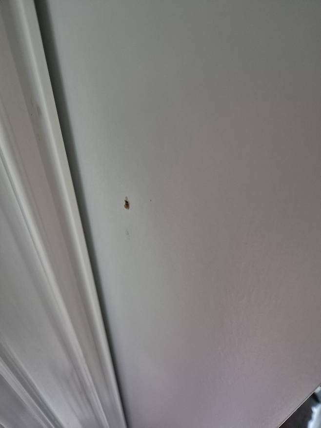 IMG_6317.jpeg 데코라인에서 장롱 구매 후 문제