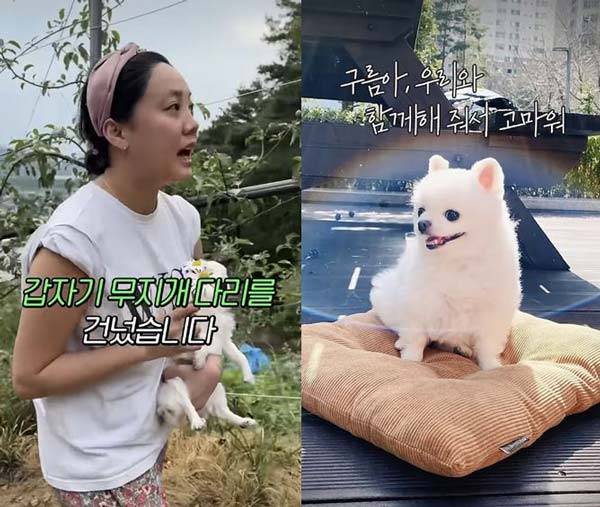 배우 고은아의 반려견 ‘구름이’(오른쪽)가 지난해 세상을 떠났다는 소식이 뒤늦게 전해졌다./사진=유튜브 채널 ‘방가네’ 캡처
