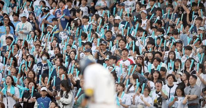 <yonhap photo-5948=""> 창원NC파크 야구 열기 (창원=연합뉴스) 김동민 기자 = 1일 경남 창원NC파크에서 열린 프로야구 2025 신한 SOL 뱅크 KBO리그 한화이글스와 NC다이노스 경기. 1루에서 NC 팬이 응원하고 있다. 2025.6.1 image@yna.co.kr/2025-06-01 18:39:36/ <저작권자 ⓒ 1980-2025 ㈜연합뉴스. 무단 전재 재배포 금지, AI 학습 및 활용 금지></yonhap>