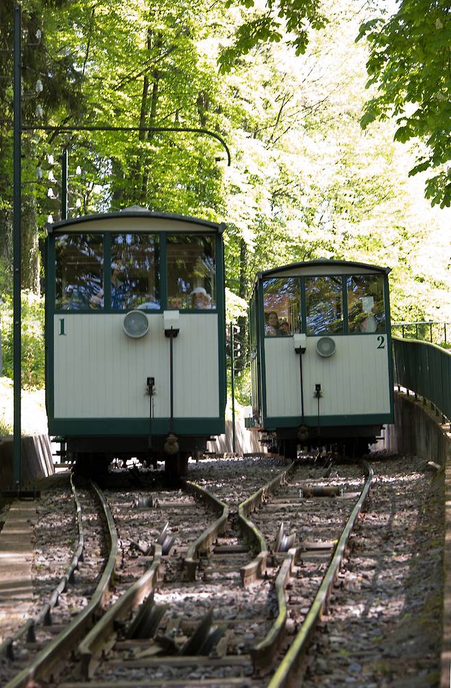 사진= 에비앙 리조트