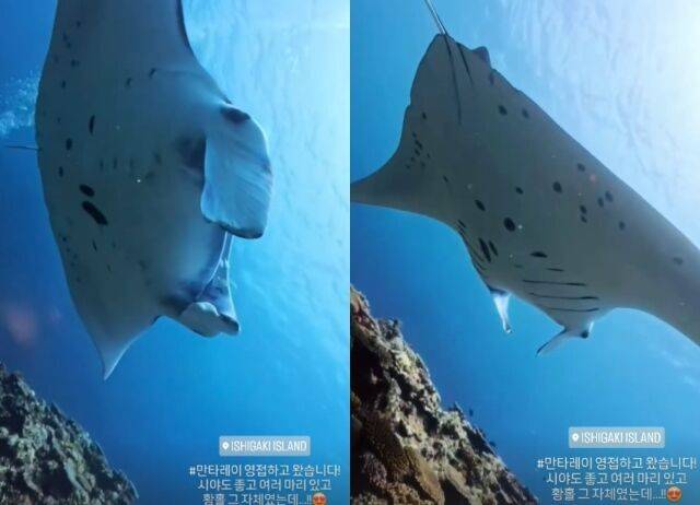 오정연 소셜미디어