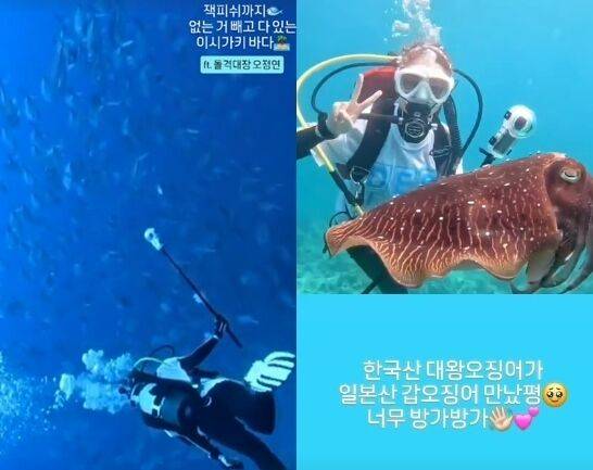 오정연 소셜미디어