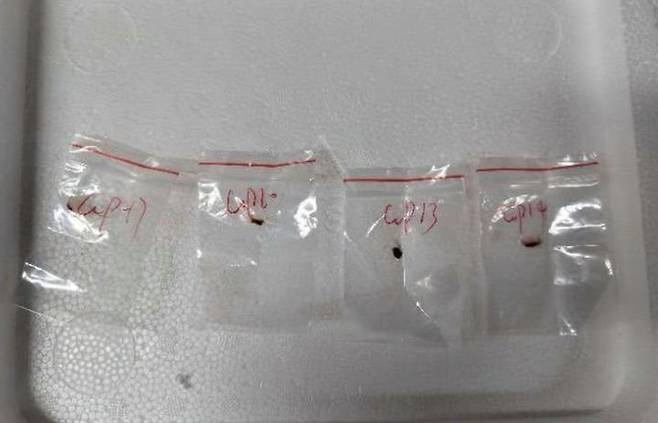 [서울=뉴시스] 중국인 과학자 2명이 독성 곰팡이 병원체를 배낭에 숨겨 미국으로 밀반입한 혐의로 기소됐다. (사진=사우스차이나모닝포스트 홈페이지 갈무리) 2025.06.04 *재판매 및 DB 금지