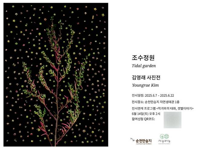 순천만 염생식물 전시회 홍보물. 순천시 제공