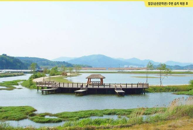 갯벌치유센터 예정지 근처의 습지 복원 후 모습. 순천환경운동연합 제공