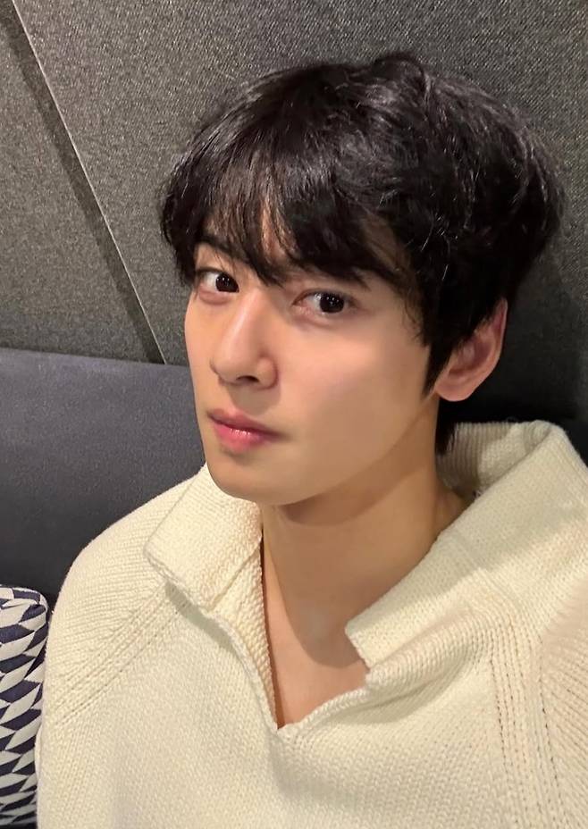 사진|차은우 인스타그램