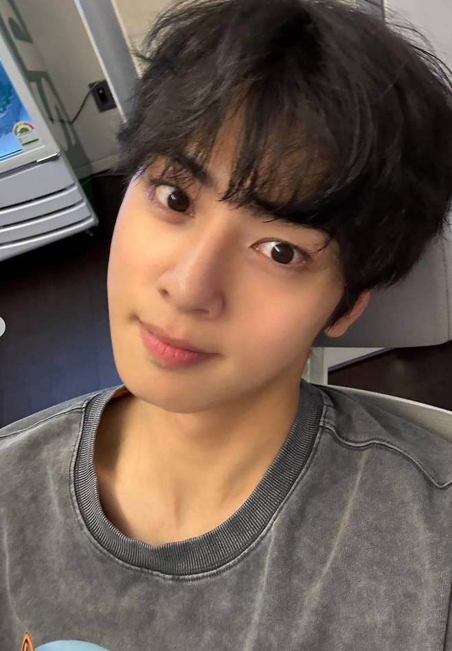 사진|차은우 인스타그램