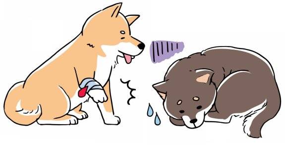 ‘면역매개성 혈소판 감소증(IMT)’의 주요 증상은 출혈, 멍 등이다. GETTYIMAGES