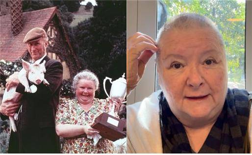 영화 '꼬마돼지 베이브'에서 농장 남자주인 하겟(제임스 크롬웰 분)은 마을축제 경품으로 베이브를 받아온다. 베이브는 개와 사귀면서 양치는 법을 배운다. 마침내 '양치기 개 선발대회'에서 우승하고, 농장 여주인 하겟 아줌마를 여러 모로 도우며 많은 웃음을 선사한다.[사진=SNS]