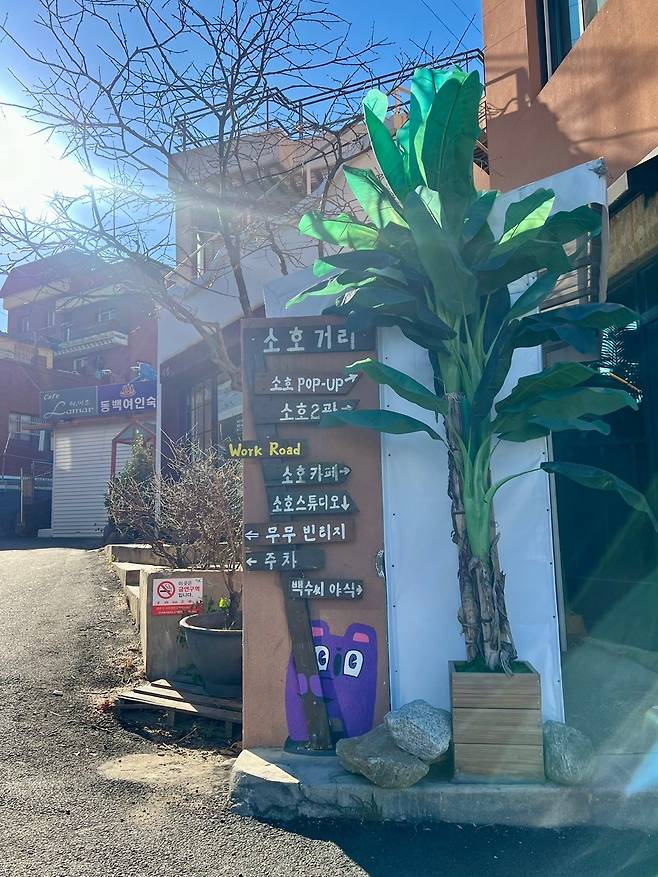 속초 시외버스터미널 뒤 소호거리. ‘라이프벨리’ 제공