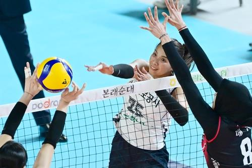 스파이크하는 도로공사의 타나차(중앙) / 사진=한국배구연맹 제공