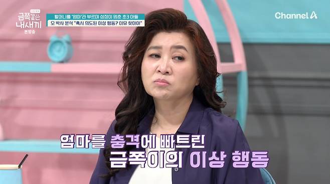 할머니를 폭행하고 자해까지 하는 등 이상행동을 보이는 10살 금쪽이의 모습이 충격을 안겼다./사진=채널A '요즘 육아-금쪽같은 내 새끼' 방송 화면