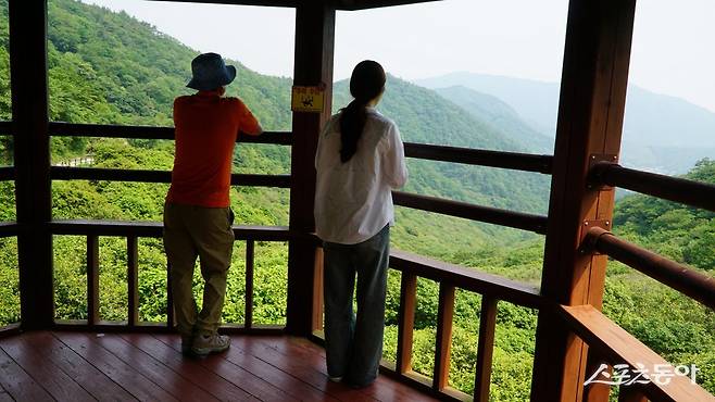 천관산자연휴양림 진입로에 위치한 동백생태숲을 조망하는 정자. 국내 최대 동백나무군락지로 이른 봄에는 산자란 가득 붉은 꽃이 점점이 피어난다   장흥｜김재범 기자 oldfield@donga.com
