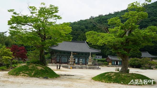 창건한지 천년이 훌쩍 넘는 고찰 가지산 보림사의 고즈넉한 전경. 국보, 보물 문화재를 다수 소장하고 있고 ‘장흥 청태전 티로드’가 절 주변에 조성되어 있다            장흥｜김재범 기자 oldfield@donga.com