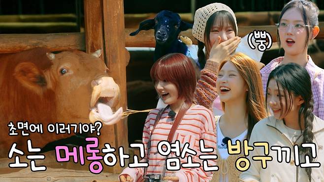 키키 공식 유튜브 채널