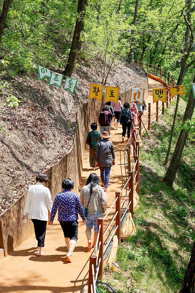 황토맨발 숲길[사진/임헌정 기자]