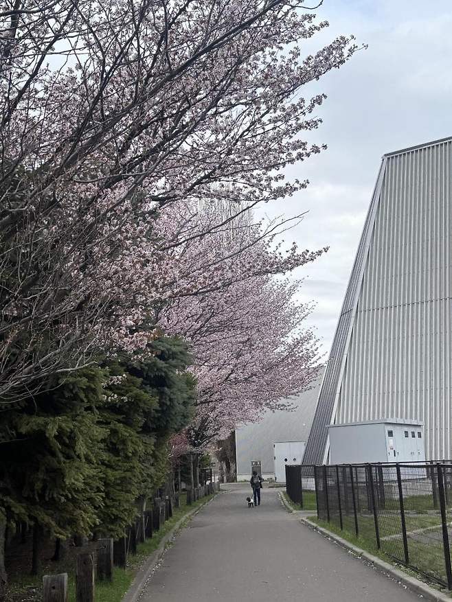 viewimage.php?id=23b2db27ebc637&no=24b0d769e1d32ca73de883fa1bd62531caf022a001a6328b8fcf4dbd347d73c7971df1f3ce48a082af40d5d024424c736756d55e336cb4d01dc30ac39d8b4d98fbb109