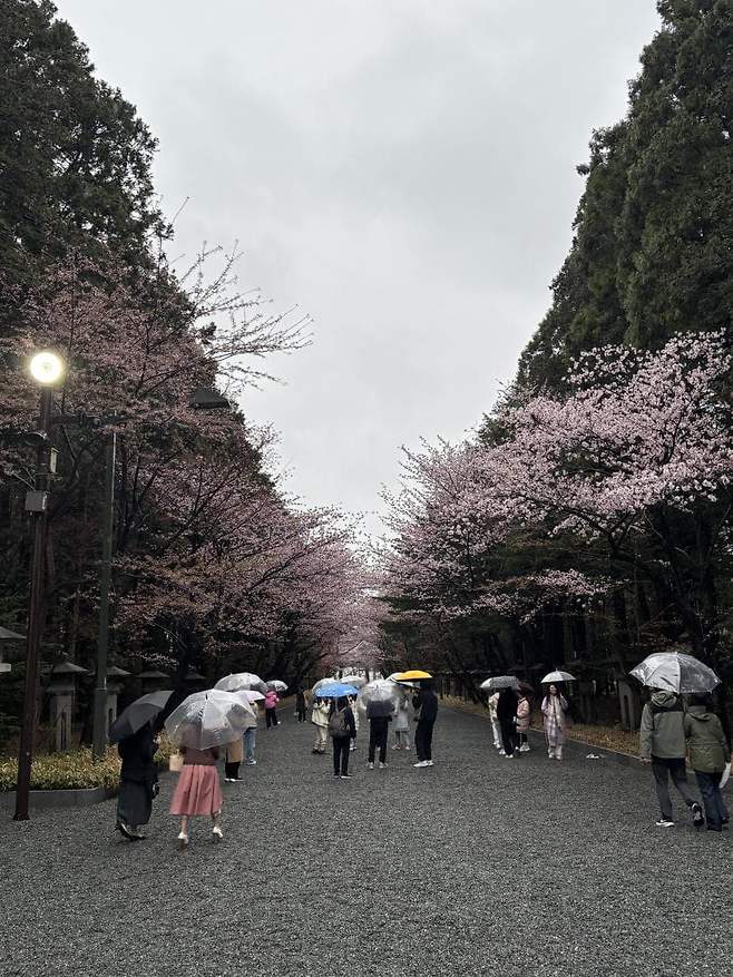 viewimage.php?id=23b2db27ebc637&no=24b0d769e1d32ca73de883fa1bd62531caf022a001a6328b8fcf4dbd347d73c7971df1f3ce48a082af40d5d024424c736756d55e336cb4811ec05a909b8b4298bf6891