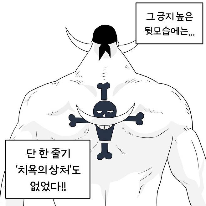 샹크스의 왼팔 만화