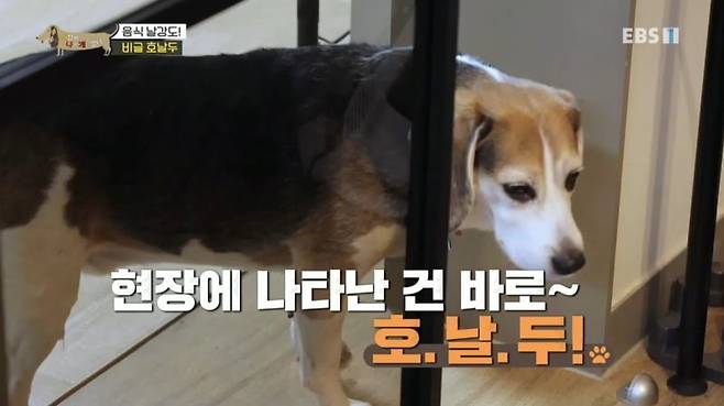 구토 증세를 보이는 호날두 구토 증세를 보이는 호날두