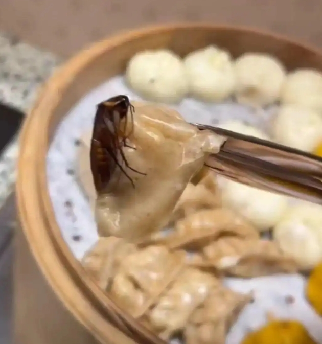 중국 후난성 창사시의 한 호텔 조식 뷔페에서 발견된 바퀴벌레. 사진=대완신문