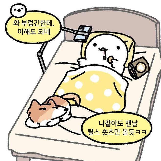 495422026_17906888322120542_7623964181511103438_n.jpg 전 국민한테 월 500 뿌리는 나라가 있다?