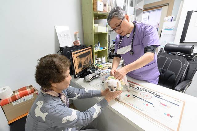 반려견과 보호자가 서울 양천구 ‘우리동네 동물병원’에서 진료를 받고 있다. 양천구청 제공