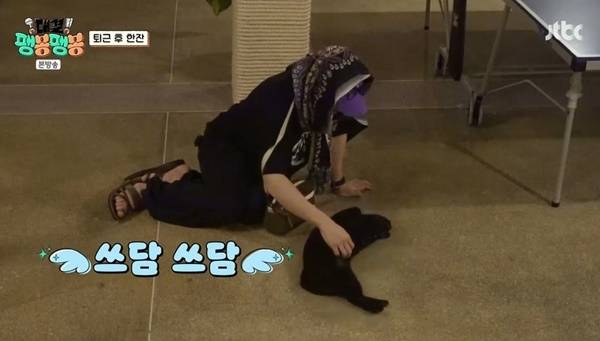 JTBC ‘대결! 팽봉팽봉’ 캡처