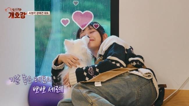 사진=JTBC ‘집 나가면 개호강’