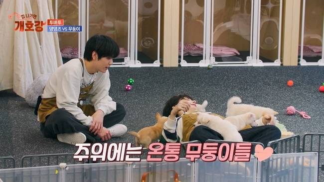 사진=JTBC ‘집 나가면 개호강’