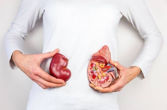 ▲&nbsp;위 사진은 해당 기사와 직접적인 관련이 없음. /사진제공=이미지투데이