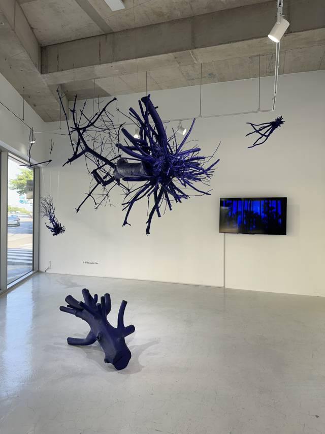 조은필의 'From Space to Time'(2025) 설치 전경. 김은영 기자