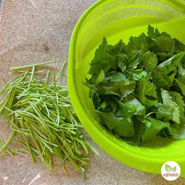 참나물을 손질한 모습