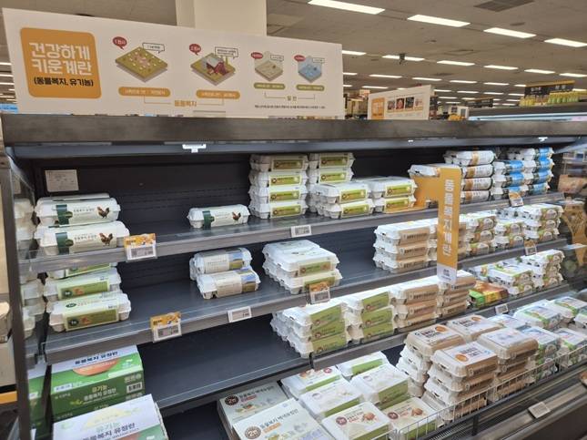 한 대형마트의 친환경 계란 코너./사진=김아름 기자 armijjang@