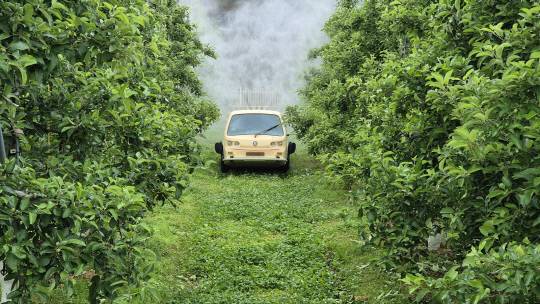 과수화상병 약제 방제 모습.사진=예산군 제공