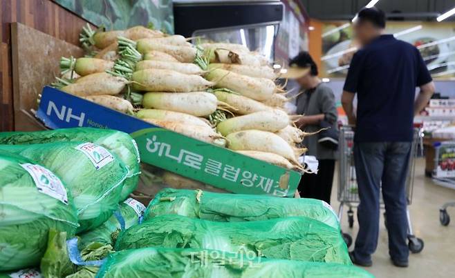 농헙 하나로클럽 양재점에 쌓인 배추와 무. ⓒ뉴시스