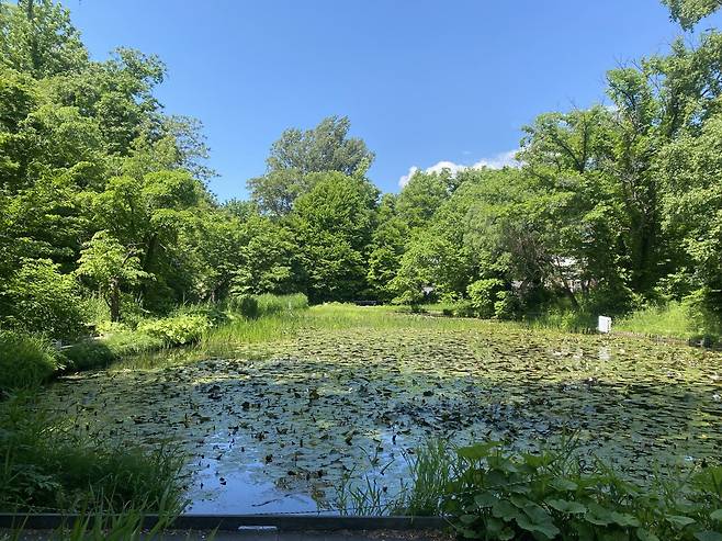 IMG_6833.jpeg 홋카이도 2일차