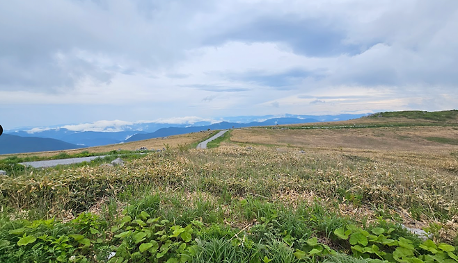 image.png (스압,데이터주의)마쓰야마가 핫한거같아서 올리는 일주일전 다녀온 3박4일 마쓰야마 후기