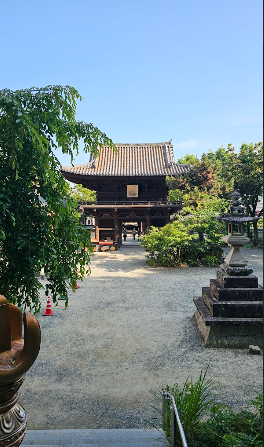 image.png (스압,데이터주의)마쓰야마가 핫한거같아서 올리는 일주일전 다녀온 3박4일 마쓰야마 후기