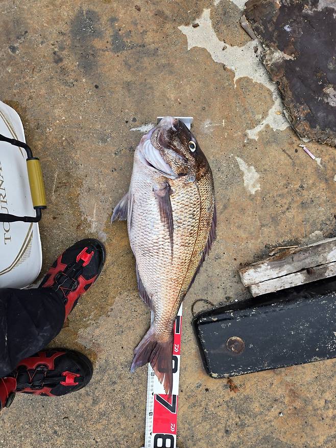 울릉도에 낚시 다녀 왔어요