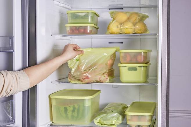 '스마트킵 항균백'을 비롯한 여름철 식재료 보관에 특화된 용기 3종. 락앤락 제공