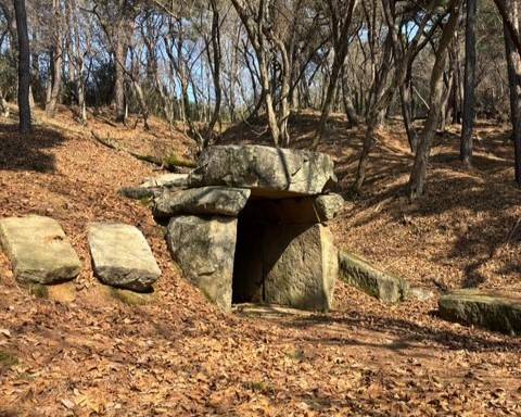 영원면 은선리의 횡열식 석실 고분  [사진=정읍시 ]