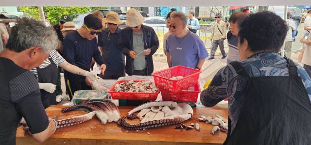 ▲ 제5회 저도 대문어축제가 7~8일 현내면 대진항에서 관광객들로 붐비며 성황리에 열렸다. 이날 문어 숙회를 300ｇ 한 접시에 2만원에 판매해 인기를 끌었다.