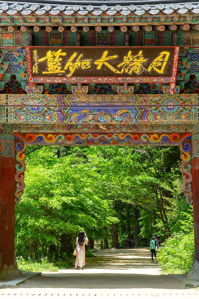 평창 오대산 월정사 일주문과 숲