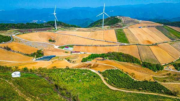 귀네미마을의 고랭지 밭전경. 배추를 심기 위해 밭갈이가 한창이었다.